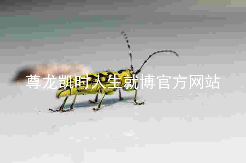 尊龙凯时人生就博官方网站