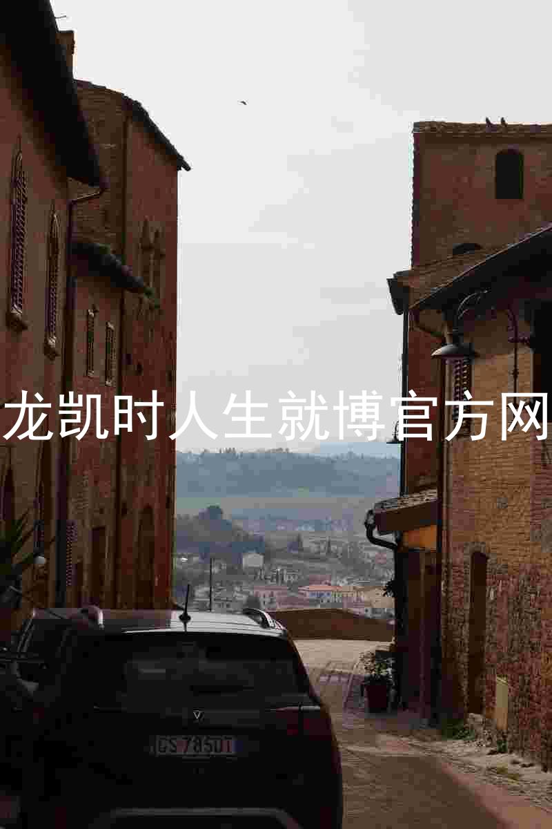 尊龙凯时人生就博官方网站