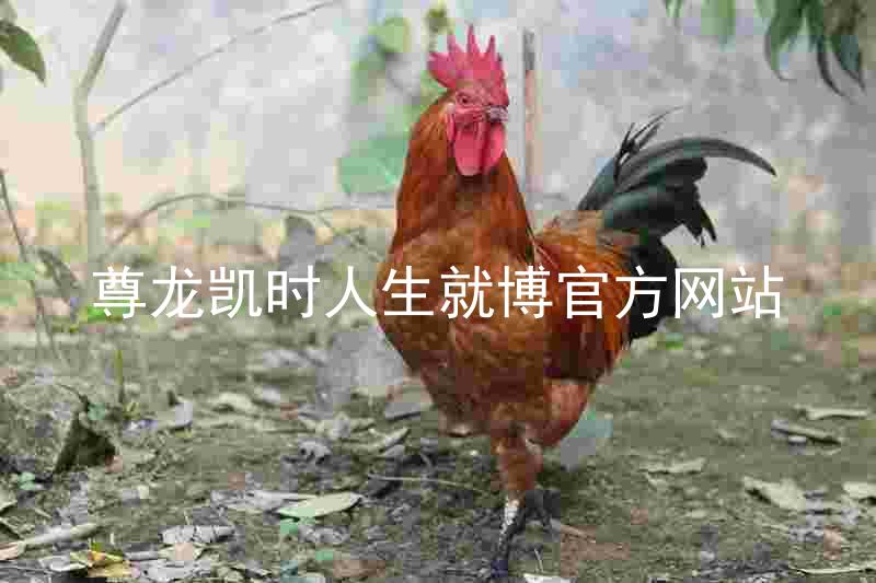 尊龙凯时人生就博官方网站