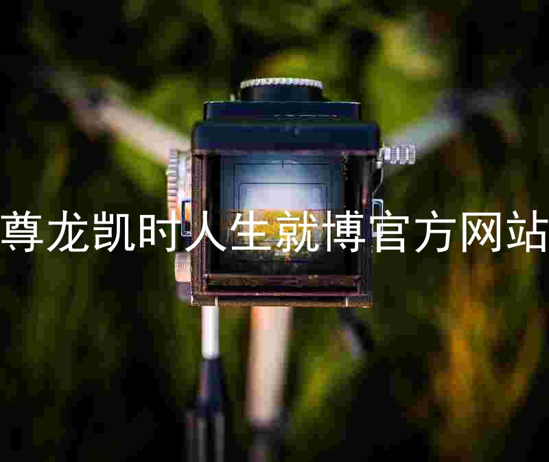 尊龙凯时人生就博官方网站