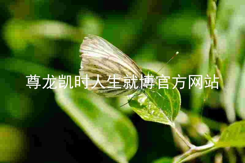 尊龙凯时人生就博官方网站