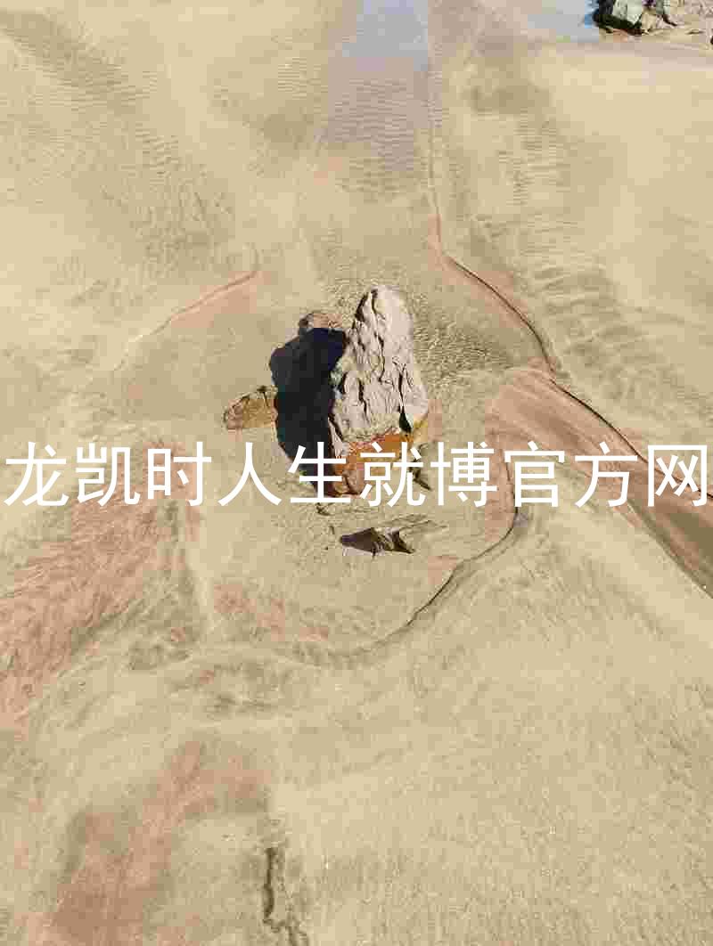 尊龙凯时人生就博官方网站