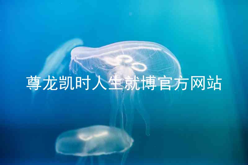 尊龙凯时人生就博官方网站