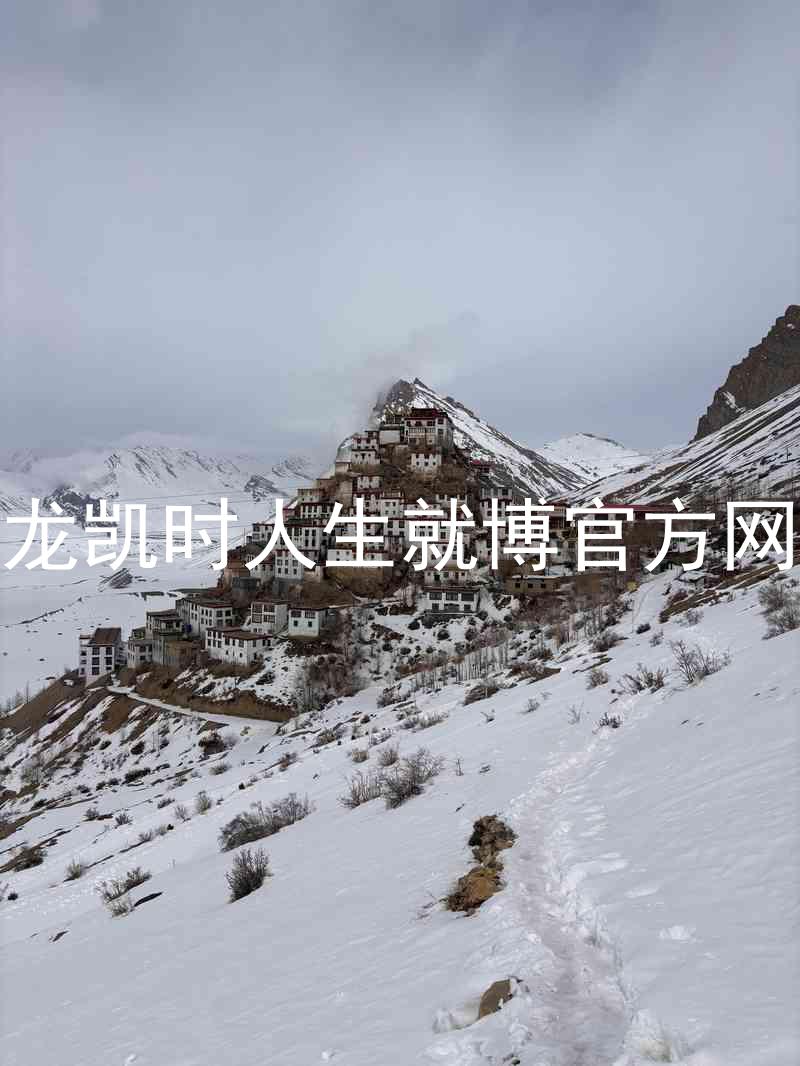 尊龙凯时人生就博官方网站